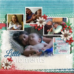 Little Moments-TDC Word Challenge May2016