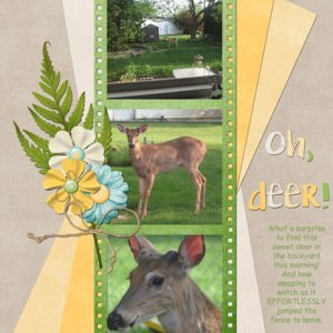 Oh, deer!