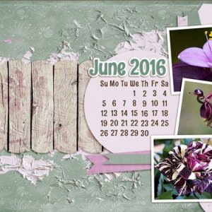 May desktop chal