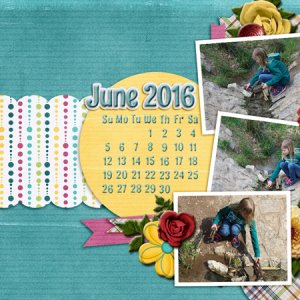 June Desktop 2016