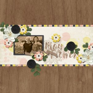 May Flowers