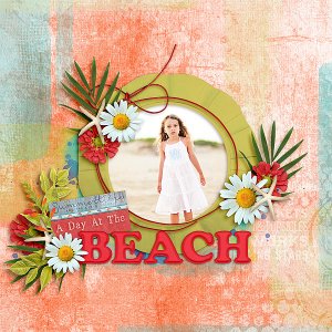 A Day At The Beach