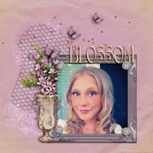 Blossom4