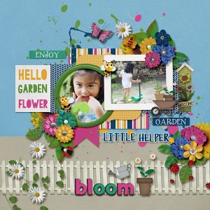 Hello Garden Flower
