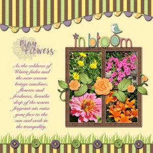 In Bloom