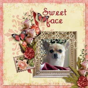 Sweet_face1