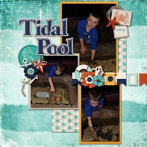 Tidal Pool