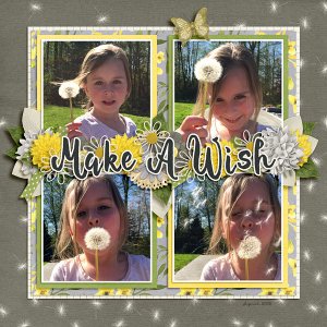 Make a Wish