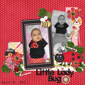 Little Lady Bug