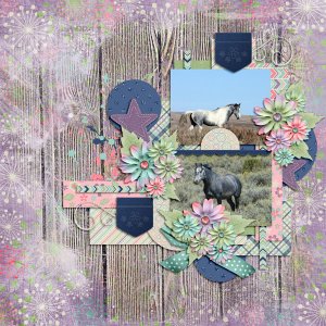 Scraplift0516