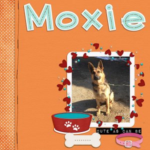 Play Fetch{Moxie}