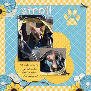 Stroll
