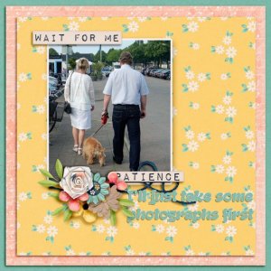 Wait_for_me