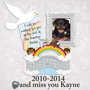 Rainbow Bridge{Kayne}