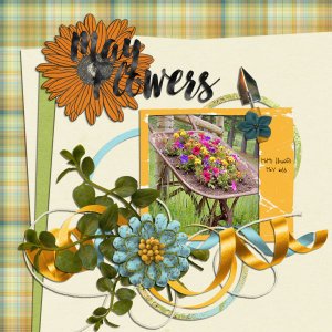 May Flowers