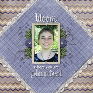 Bloom