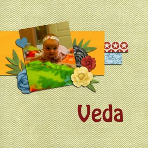 Veda