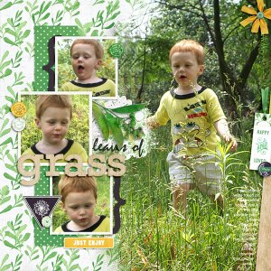 Leaves of Grass