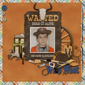 wanted