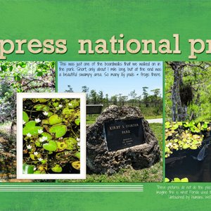 Big Cypress