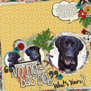No No Bad Dog