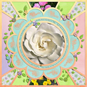 May Flowers 2016