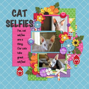 Cat Selfies