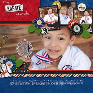 My Karate Awards