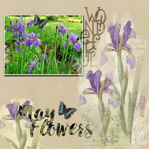 Spring Flowers