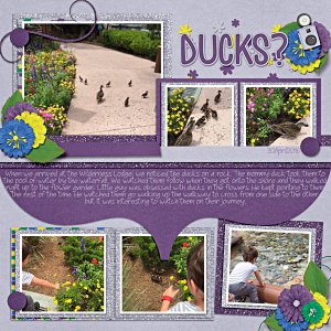 Ducks