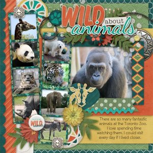 Kingdom Of Animals