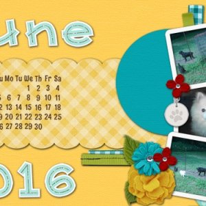 2016 May Desktop