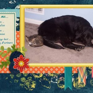 You + Me - May 2016 Designer Spotlight Challenge
