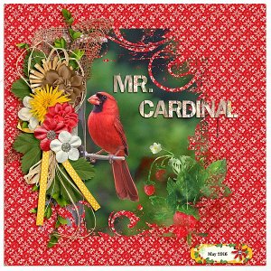 Mr. Cardinal