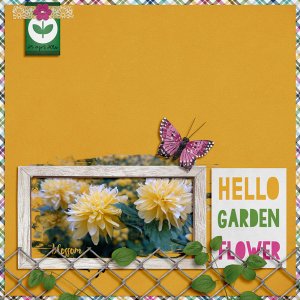 Hello Garden Flower