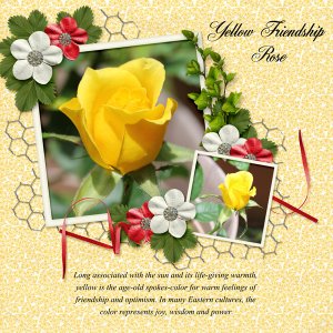 Yellow Rose