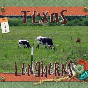 Texas Longhorns
