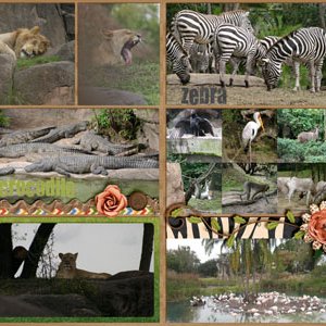 Kilimanjaro Safari