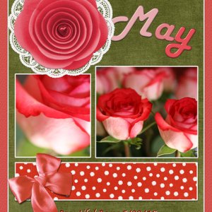 May - Beautiful Roses