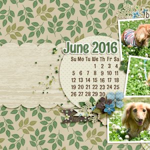 May 2016 Desktop Challenge