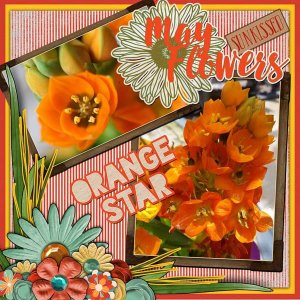Orange Star