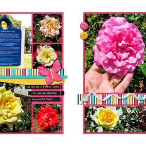 Mable Ringling's Rose Garden