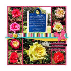 Mable Ringling's Rose Garden - left side
