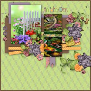 In Bloom