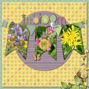Bloom