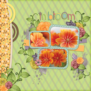In Full Bloom