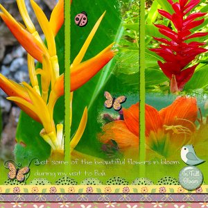 Bali Blooms
