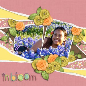 In Bloom