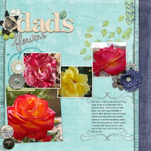 Dad's Roses