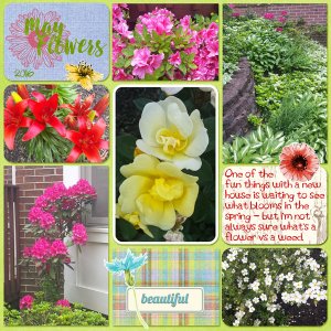 May Flowers